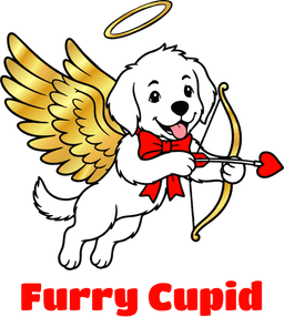 Furry Cupid